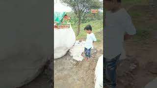 Ghode Peer Allah Ke vali Ki Dargah Sarif Short feet viral  shortsvideo  tik tok  Nasik Malegaon