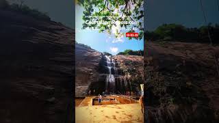 குற்றாலத்தின் இன்றைய நிலவரம்🥶🤩|Courtallam live today|kutralam live today|Tenkasi|kutralam status