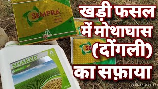 क्या रहा मूंग की फसल पर SEMPRA औऱ SHAKED का रिजल्ट #farming_with_sanyog #मूंग_की_खेती #Herbicide