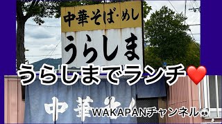 うらしまでランチ❤️WAKAPNチャンネル🐼