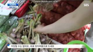 20130525 sbs토요특집모닝와이드 알뜰장보기