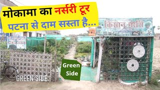 Mokama Nursery Tour । Patna से दाम बहुत कम है । मोकामा का इकलौता नर्सरी । Green Side