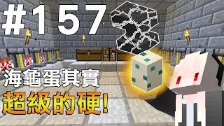 【Minecraft】紅月的生存日記 #157 海龜蛋居然比鐵砧硬?