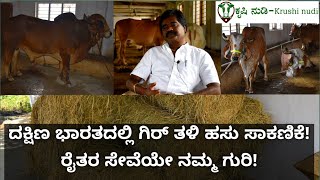 ದಕ್ಷಿಣ ಭಾರತದಲ್ಲಿ 250000 ಗಿರ್ ತಳಿ ಹಸುಗಳ ಮಾರಾಟ|Gir cow farming in Karnataka|Desi cow farm|ಕೃಷಿ ನುಡಿ