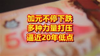 加元不停下跌 多种力量打压 逼近20年低点