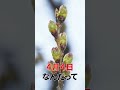 【新潟県】上越市おすすめスポット！