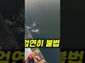 요즘 유행하는 낚시방법