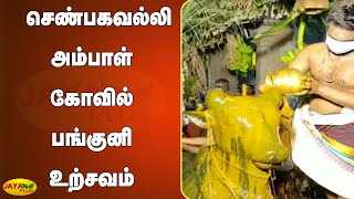 ஸ்ரீ செண்பகவல்லி அம்பாள் கோவில் பங்குனி உற்சவம் | Kovilpatti Temple