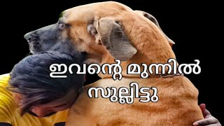 ഭീകരന്റെ മുന്നിൽ പെട്ടാൽ.. നിങ്ങൾ പേടിക്കുമോ??.. leash talks