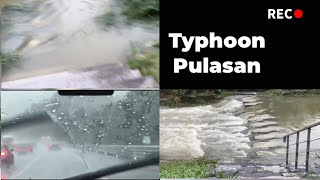 Typhoon pulasan footage | RSC