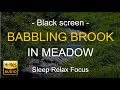 Black Screen | Babbling Brook in Forest Meadow, Sleep in Minutes | Rain White Noise | Hi-Res audio