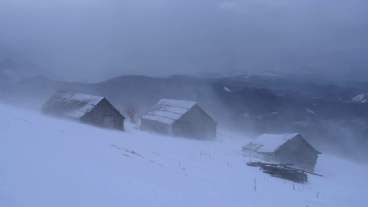 рџ ё Winter Storm Ambience With Icy Howling Wind Sounds For Sleeping