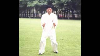 Zonghequan sanzhan 縱鶴拳 三戰