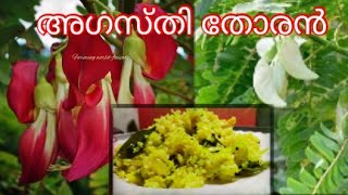 അഗത്തി പൂ തോരൻ Agasthi/Agathi flower recipe#Agathi#AGASTHI