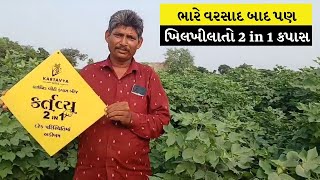 કપાસ જોઈને લોકોને ઈર્ષા આવે તેવો જોરદાર 2 in 1 કપાસ