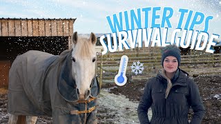 Horse Care Winter Tips ❄️