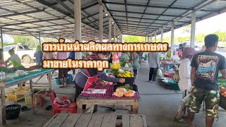 flea market  ตลาดนัดบ้านโนนยางกุด ชาวบ้านนำพืชผัก ผลิตผลการเกษตรมาขาย