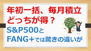 年初一括、毎月積立どっちが得？　S\u0026P500とFANG+では驚きの違いが！　【有村ポウの資産運用】241022