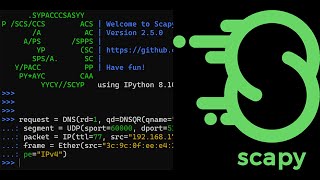 Netzwerkanalyse mit Scapy | Einführung