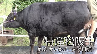 【飯南町深野】特産松阪牛「かず」「こなつ」日記 #18