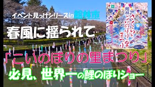 美松運送　イベント見っけシリーズ　館林市「こいのぼりの里まつり」４０００匹を超える、こいのぼりが泳ぐ　物流業　運送業　倉庫業