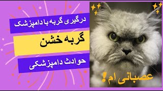 معاینه بداخلاق ترین گربه دنیا - درگیری دامپزشک با گربه عصبانی ! ! !