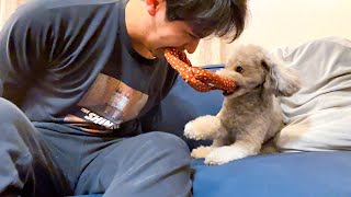 愛犬と遊ぶ飼い主が変人すぎてボツになった動画