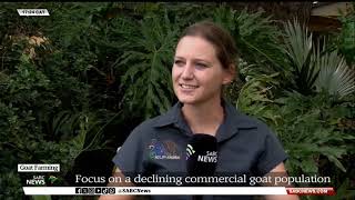 Goat Farming | Spotlight on a declining commercial goat population