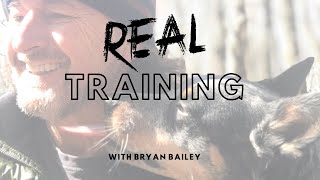 Three Fears Associated with Using a Remote Training Collar, Part 3