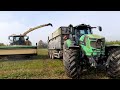 krone big x 1180 trinciatura sorgo