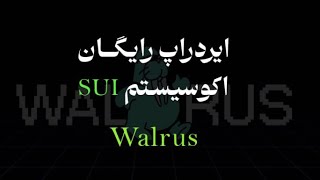 میجر و بلوم رو بزار کنار | ایردراپ رایگان Walrus بر روی بلاکچین Sui پارت اول