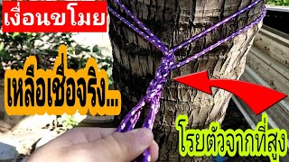 #เงื่อนขโมย#ผูกเชือก#knot.                   💢วิธีผูกเชือกลงจากที่สูงสามารถเก็บเชือกได้จากด้านล่าง