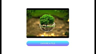 Select Image From Folder Location Through Html form using javascript || Technoland Expart