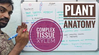 Plant Anatomy | Complex tissue | Xylem