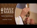 Catholic Daily Mass - Daily TV Mass - November 19, 2024