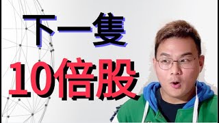 美股投資 || 挑選我下一個像特斯拉的十倍股