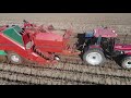 potato harvest in norway 2019