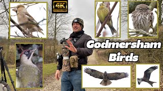 Godmersham Birdwatching. Your guide to birding in the small Kent town. 4K