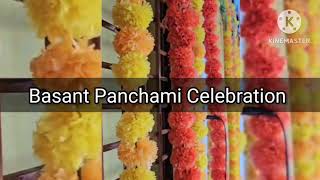 Basant Panchami Celebration in Little Wonder Kids School Awadhpuri #basantpanchami #school