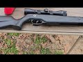 norica dream hunter .22 cal underlever pellet rifle shooting review. flying can ranch.