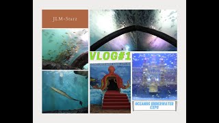 Oceanos Underwater Tunnel Expo 2022 | VLOG#1-Underwater Aquarium | Kanyakumari | Public Opinion