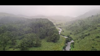 Drive to Mukurti National Park, MTR | Upper Bhavani Dam