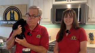 Dog Food Review with Madison and GSM... Nutri Source wet food