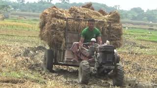 High Loded Paddy Transport ll Loded Tiller Drive Video  ধান বোঝায় পাওয়ারটিলার ভিডিও