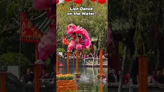 High - wire walking, plum - blossom piles on water! Lion dance stuns with non - stop thrills!