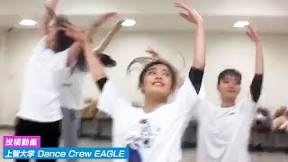 美しい！JDのジャズダンス｜上智大学 Dance Crew EAGLE｜投稿動画