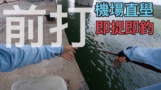 機場直壆前打丨即捉即釣丨食蟹獸丨香港釣魚丨中文字幕丨4K