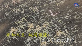 每當變幻時 | 薰妮 | 粵語 | 高清 | 伴唱版本 | 卡拉OK | KARAOKE | KTV