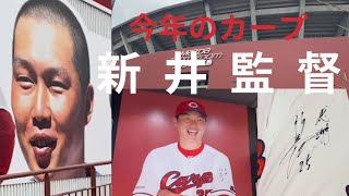 【広島カープ】今シーズンの新井監督!!マツダスタジアムグッズ売り場