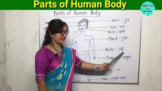 Parts of Human Body | অঙ্গ প্রত‍্যঙ্গ | Human Body | Educational video | Kids Education | মানব দেহ |